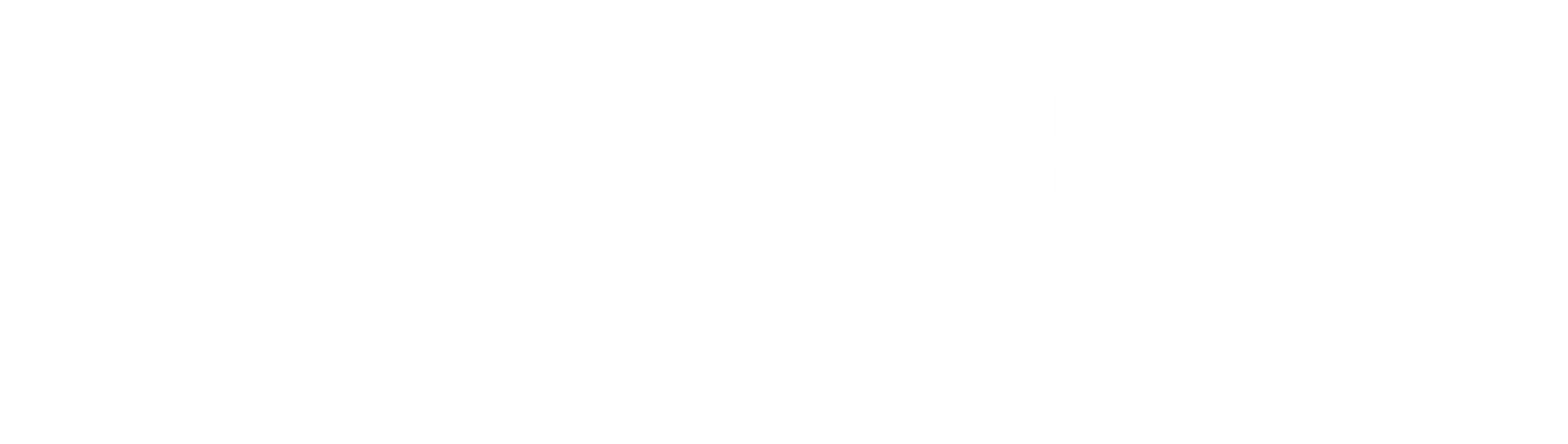 logoipsum-4.png